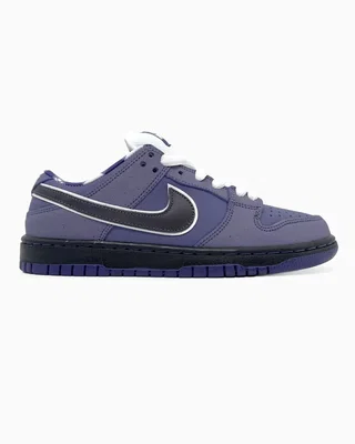 Nike SB Dunk Purple — головне фото товару