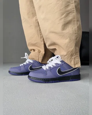 Nike SB Dunk Purple — головне фото товару