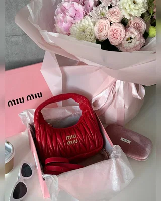 Miu Miu Wander Matelassé Nappa Leather Mini Hobo Bag Red [оригінальна брендована коробка] 21 х 23 х 7 — головне фото товару