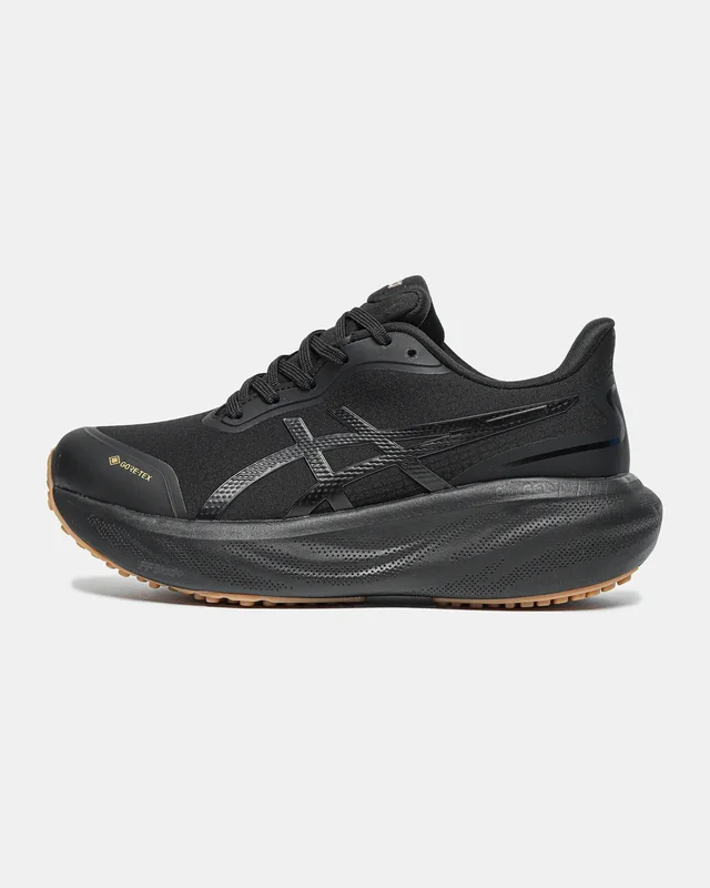 Asics Gel Kayano 30 Gore Tex Black — головне фото товару