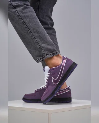 Nike SB Dunk Low Purple Lobster — головне фото товару