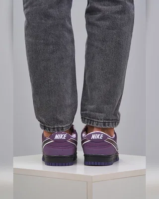 Nike SB Dunk Low Purple Lobster — головне фото товару