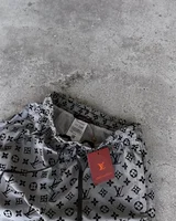 Шорти Louis Vuitton — головне фото товару