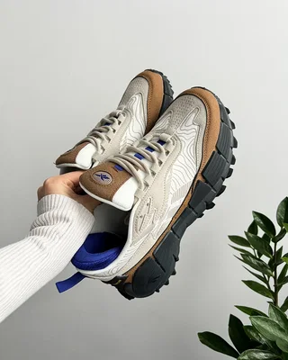 Reebok Zig Kinetica 2.5 Edge Beige Brown — головне фото товару