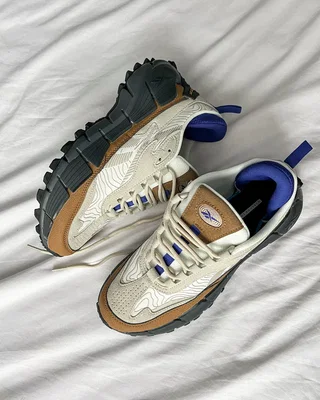Reebok Zig Kinetica 2.5 Edge Beige Brown — головне фото товару