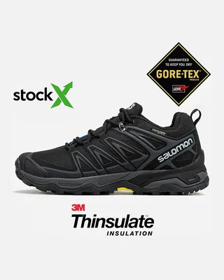 Salomon 1631 Salomon Speed Cross Pro Gore Tex Термо — головне фото товару