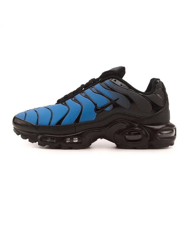Nike Air Max TN Plus Chameleon Blue — головне фото товару