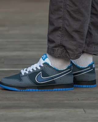 Nike SB Dunk Lobster Blue — головне фото товару