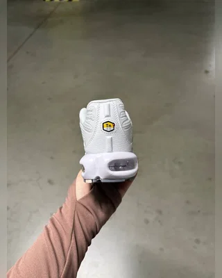 Nike tn white silver — головне фото товару