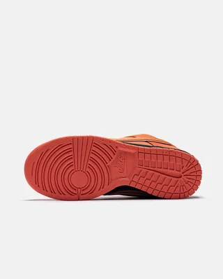 Nike Sb Dunk Low Concepts X Orange Lobster — головне фото товару