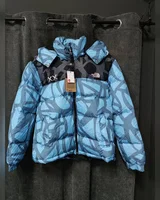 The North Face Пуховик, TNF XX, блакитний, з капюшоном — головне фото товару