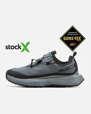 Salomon 1696 Salomon Odyssey Gore Tex Термо — головне фото товару