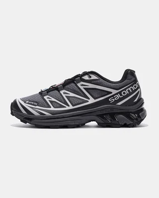 Salomon XT 6 Gray GORE TEX — головне фото товару