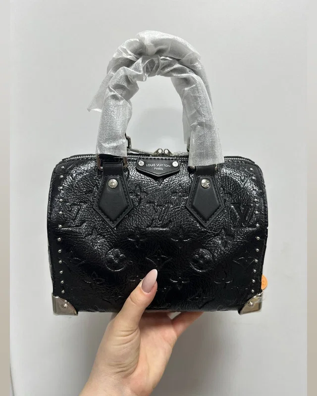 Louis Vuitton Speedy Trunk 20 Black/Silver 20 х 14 х 11 см — головне фото товару
