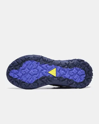 Nike ACG Mountain Fly 2 Low 'Dark Obsidian' HF6245-400 — головне фото товару