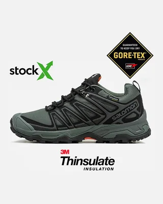 Salomon 1627 Salomon Speed Cross Pro Gore Tex Термо — головне фото товару