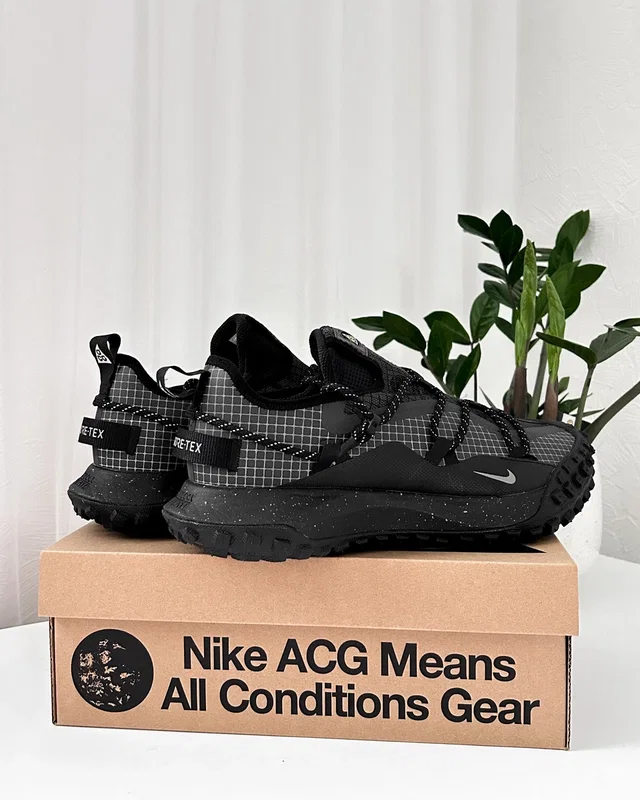 Nike ACG Mountain Fly Low GTX SE 'Dark Smoke Grey' DD2861-002 — головне фото товару