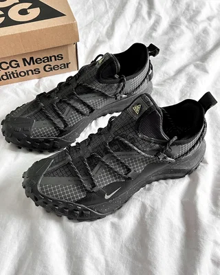 Nike ACG Mountain Fly Low GTX SE 'Dark Smoke Grey' DD2861-002 — головне фото товару