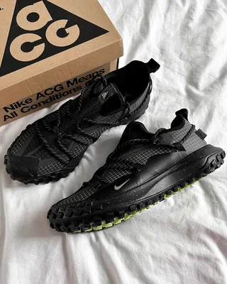 Nike ACG Mountain Fly Low GTX SE 'Dark Smoke Grey' DD2861-002 — головне фото товару