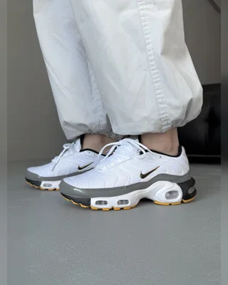 Nike Air Max TN White Gray Orange — головне фото товару