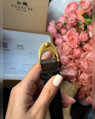 Coach Sculpted C Buckle Belt Brown Gold 100 x 2.5 — головне фото товару