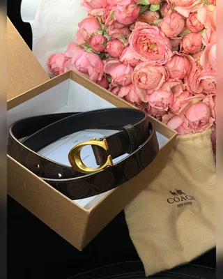 Coach Sculpted C Buckle Belt Brown Gold 100 x 2.5 — головне фото товару