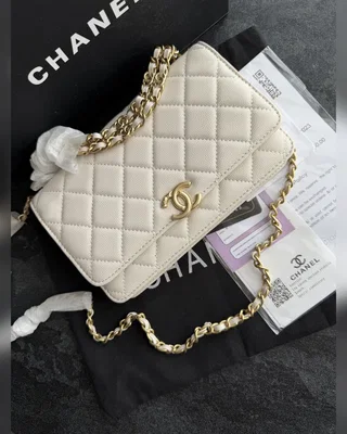 Chanel Wallet on chain Milk — головне фото товару
