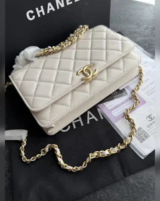Chanel Wallet on chain Milk — головне фото товару