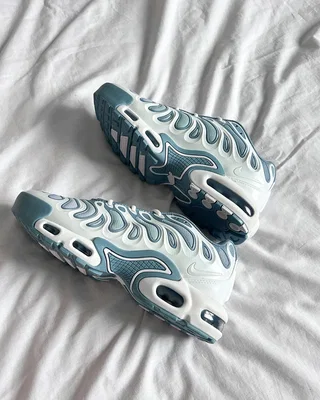 Nike Air Max Plus Drift 'Ashen Slate' FV4081-101 — головне фото товару