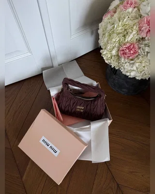 Miu Miu Wander Matelassé Nappa Suede Mini Hobo Bag Brown [оригінальна коробка] 21 х 23 х 7 — головне фото товару