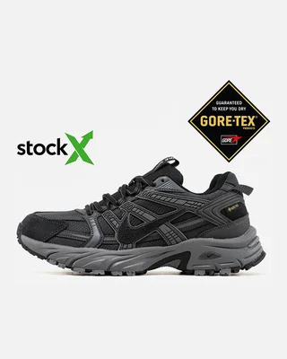 Nike 2447 Nike V2K Gore Tex Термо — головне фото товару