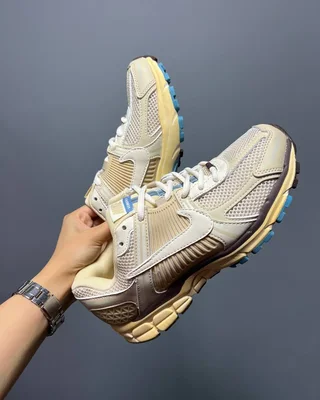 Nike Zoom Vomero 5 'Oatmeal' — головне фото товару