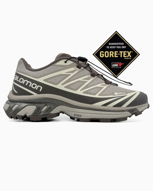 Salomon S/LAB XT-6 Gore-Tex Brown — головне фото товару