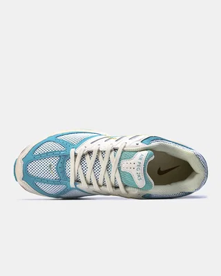 Nike Air Pegasus 2K5 'Coconut Milk Bicoastal' — головне фото товару