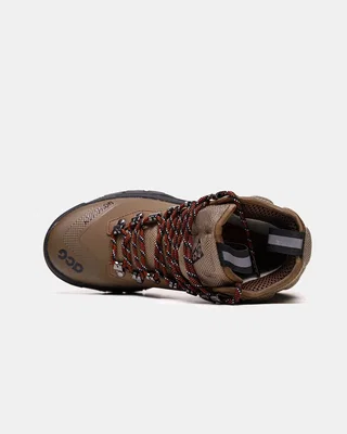 Nike ACG Zoom Gaiadome GORE-TEX 'Trails End Brown' DD2858-200 — головне фото товару