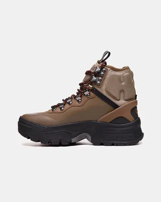 Nike ACG Zoom Gaiadome GORE-TEX 'Trails End Brown' DD2858-200 — головне фото товару