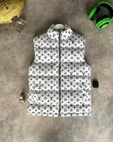 Жилет Louis Vuitton — головне фото товару