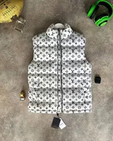 Жилет Louis Vuitton — головне фото товару