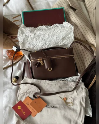 Loro Piana Extra Bag L27 Brown — головне фото товару