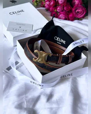 Celine Triomphe Belt Canvas Gold 100 х 2.3 — головне фото товару