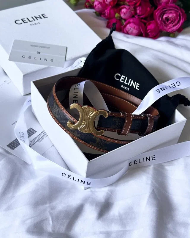 Celine Triomphe Belt Canvas/Gold 100 х 2.3 — головне фото товару