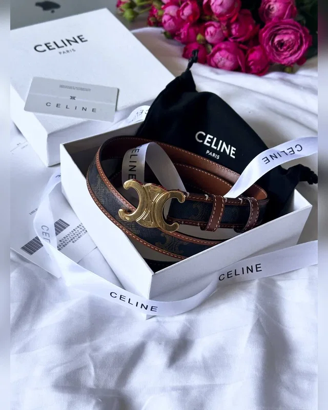 Celine Triomphe Belt Canvas/Gold 100 х 2.3 — головне фото товару