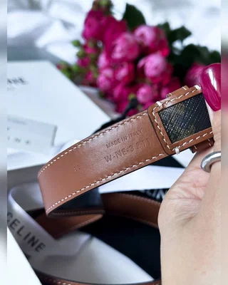 Celine Triomphe Belt Canvas Gold 100 х 2.3 — головне фото товару