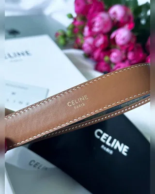 Celine Triomphe Belt Canvas Gold 100 х 2.3 — головне фото товару