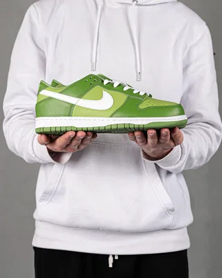 Nike Dunk Low GS 'Chlorophyll' — головне фото товару