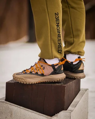 Nike ACG Mountain Fly Low "Fossil" — головне фото товару