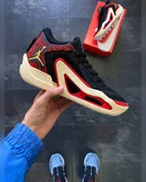 Nike Tatum 1 "Zoo" — головне фото товару