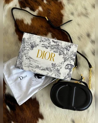Dior CD Signature Oval Camera Bag Black [оригінальна коробка] 18 х 11 х 6 — головне фото товару