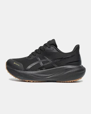 Asics Gel-Kayano 30 Gore-Tex Black — головне фото товару