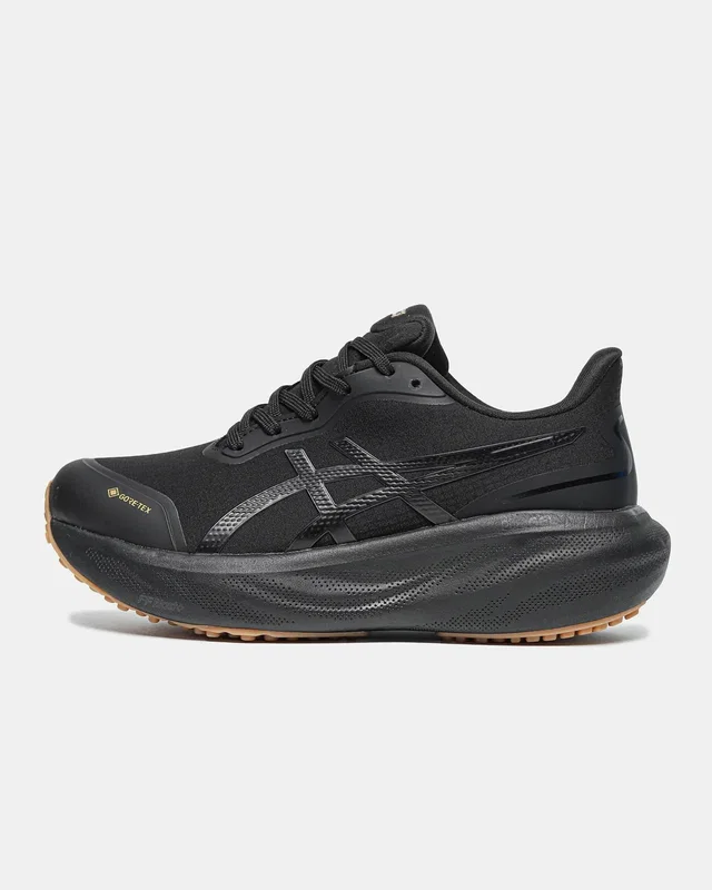 Asics Gel-Kayano 30 Gore-Tex Black — головне фото товару